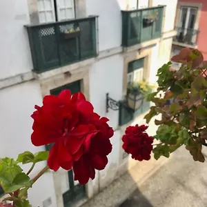 In The Heart Of Apartamento